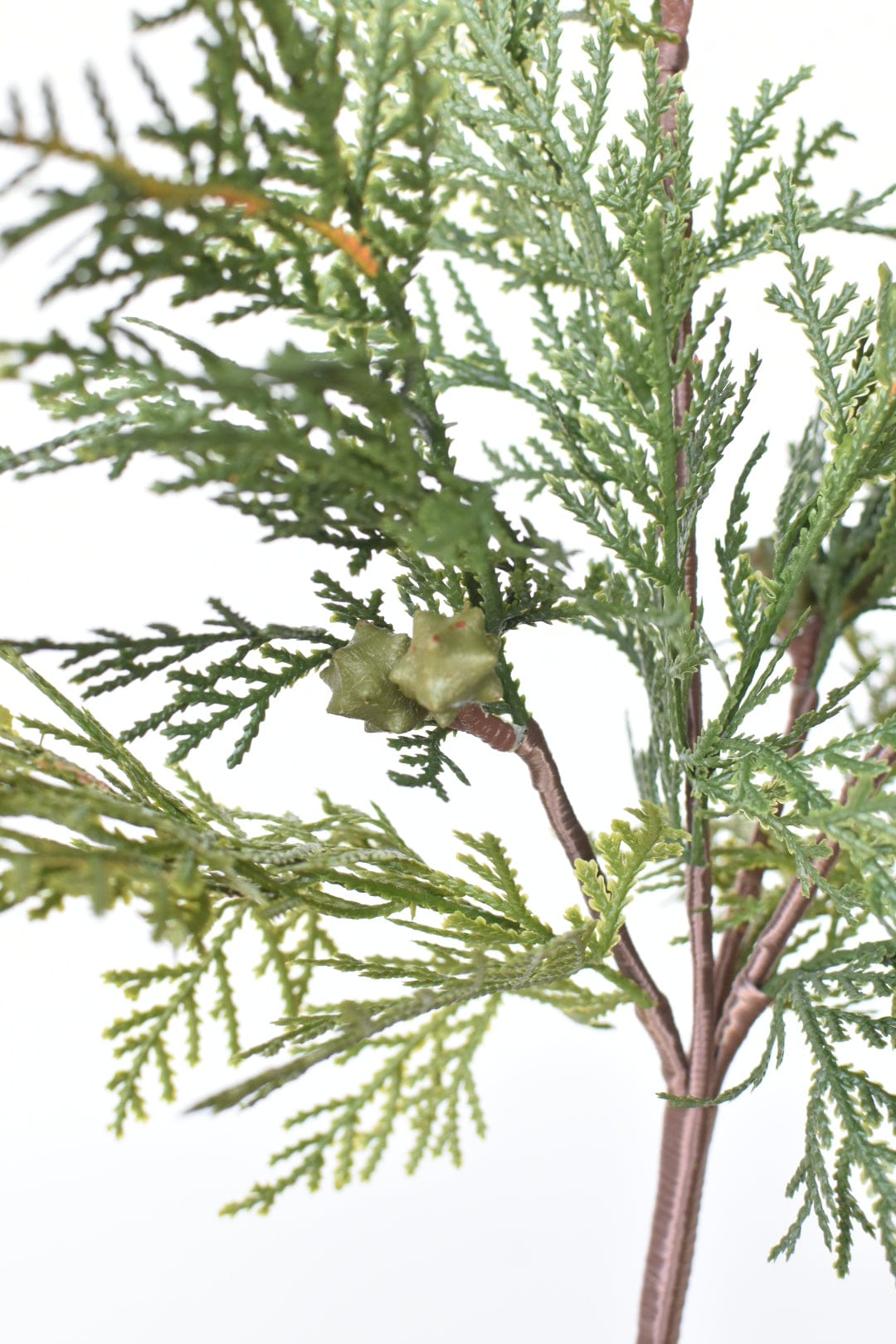16" Faux Cedar with Pod Stem