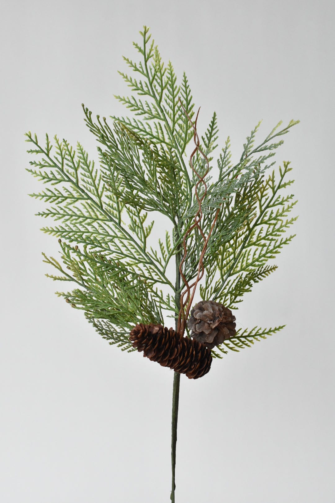 22" Incense Cedar with Pine Cones