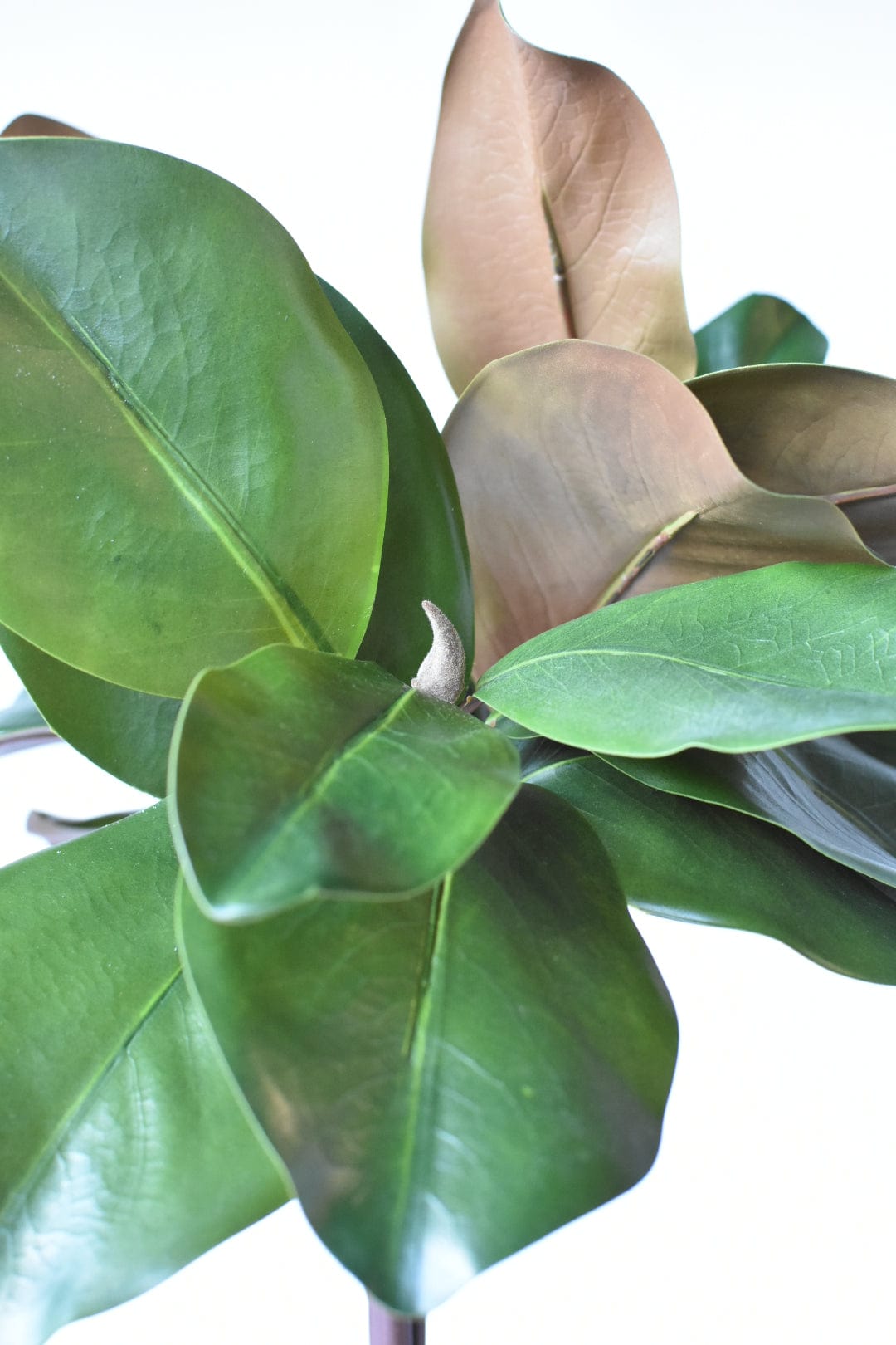 18" Faux Magnolia Leaf Bundle